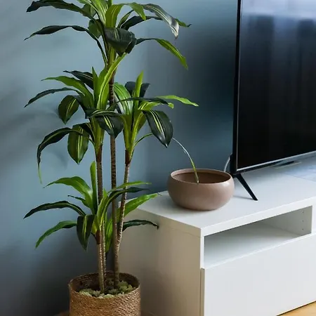 Nowogrodzka Grey By Bookinghost Varsovie