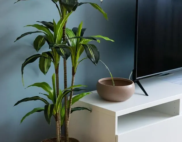 Nowogrodzka Grey By Bookinghost Warsaw